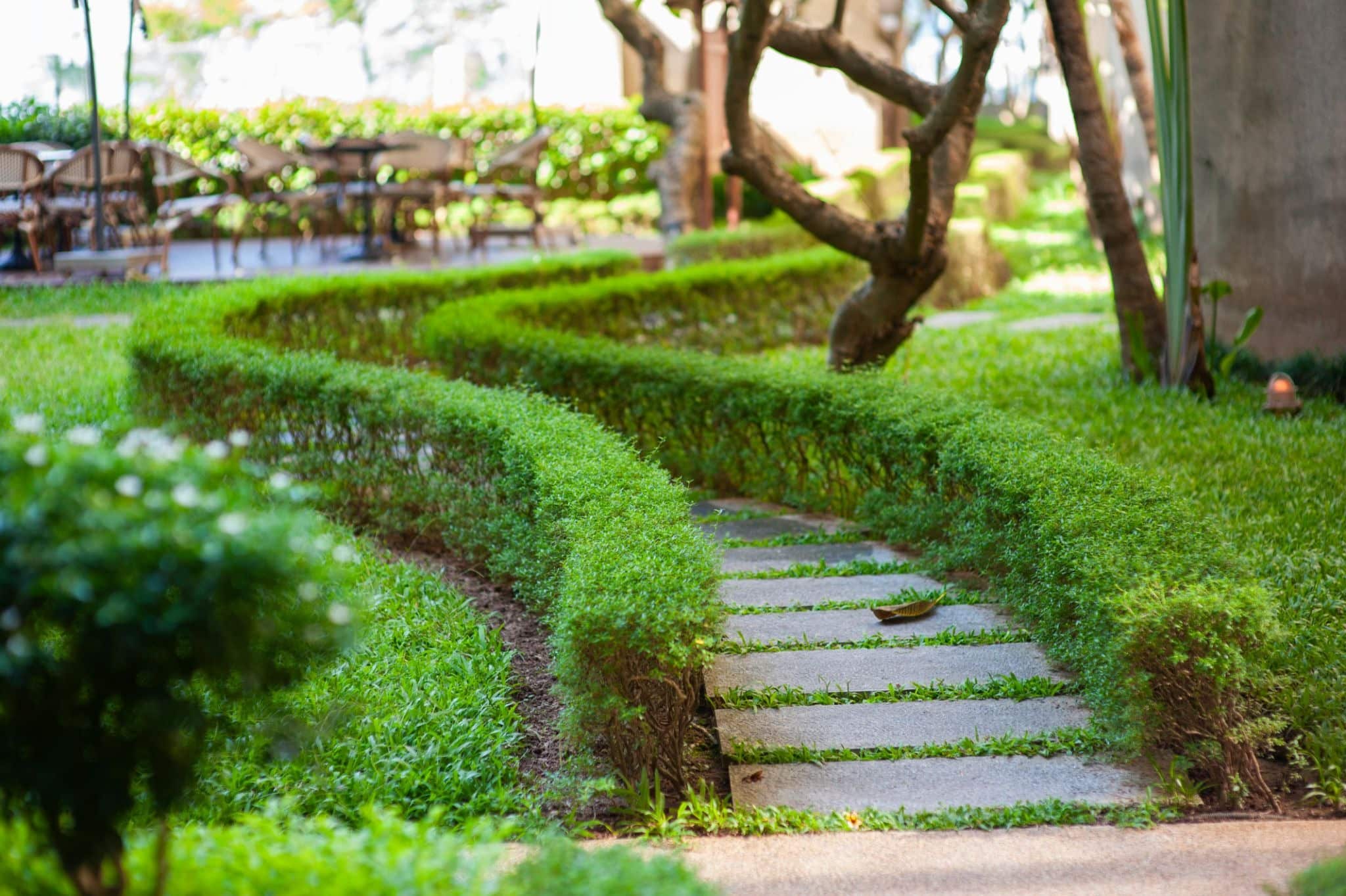 Landscaping Services in Broomall, PA